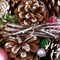 13.5" Frosted Christmas Wreath with Pinecones Twigs and Thistle Unlit